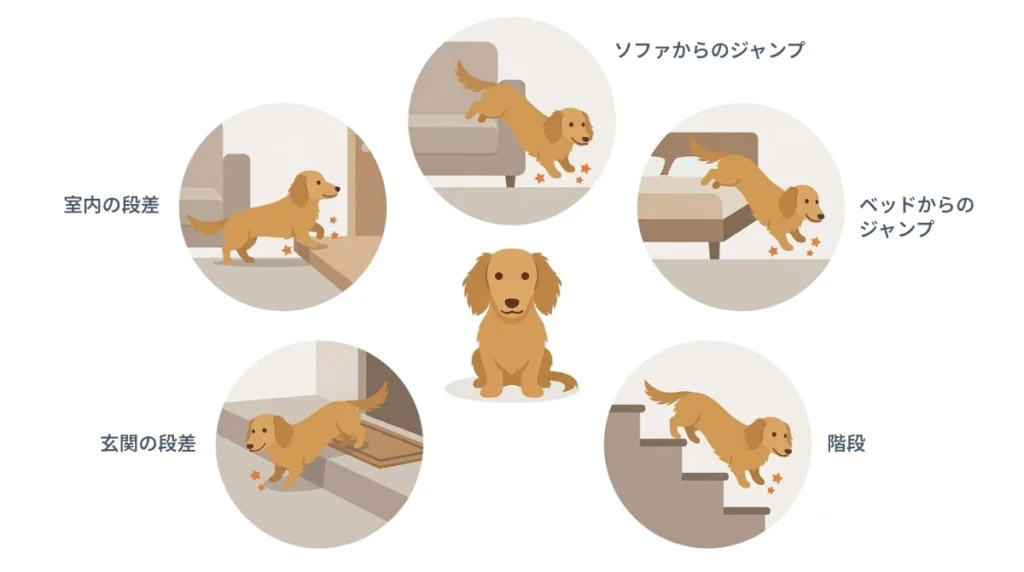 ダックスフンドの腰への負担があると思われる段差の数々