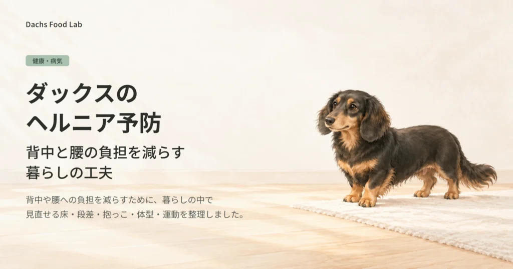 ダックスフンドの背中や腰への負担を減らす、暮らしの見直しを紹介する記事のアイキャッチ画像