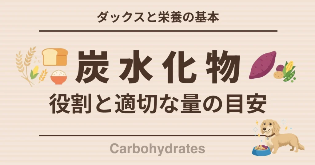 ダックスと栄養の基本 炭水化物 役割と適切な量の目安