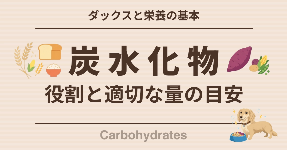 ダックスと栄養の基本 炭水化物 役割と適切な量の目安