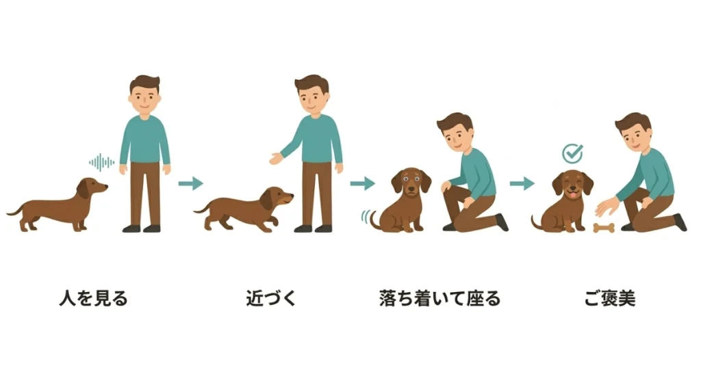 怖がりな犬の社会化ステップ