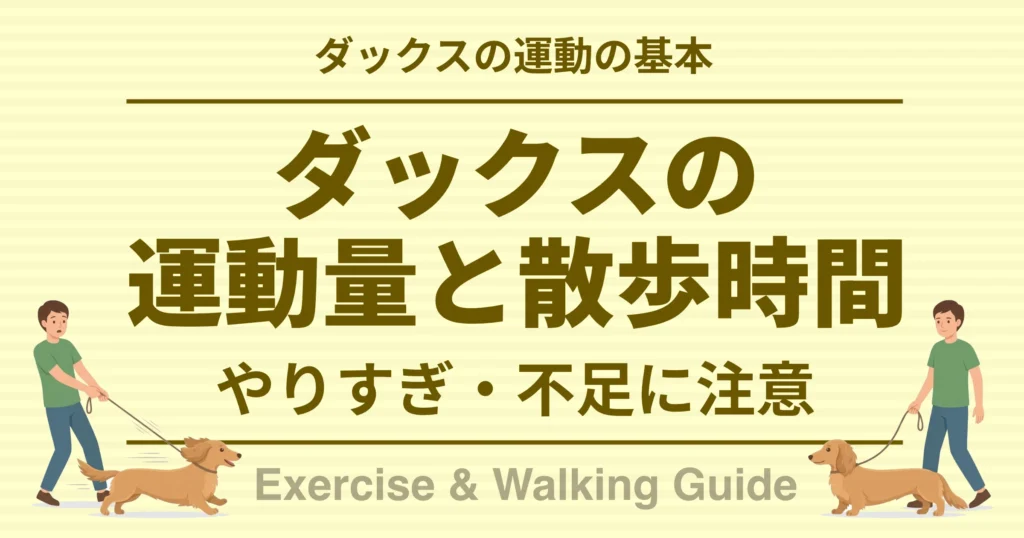 ダックスの運動の基本 ダックスの運動量と散歩時間