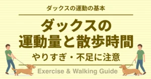 ダックスの運動の基本 ダックスの運動量と散歩時間