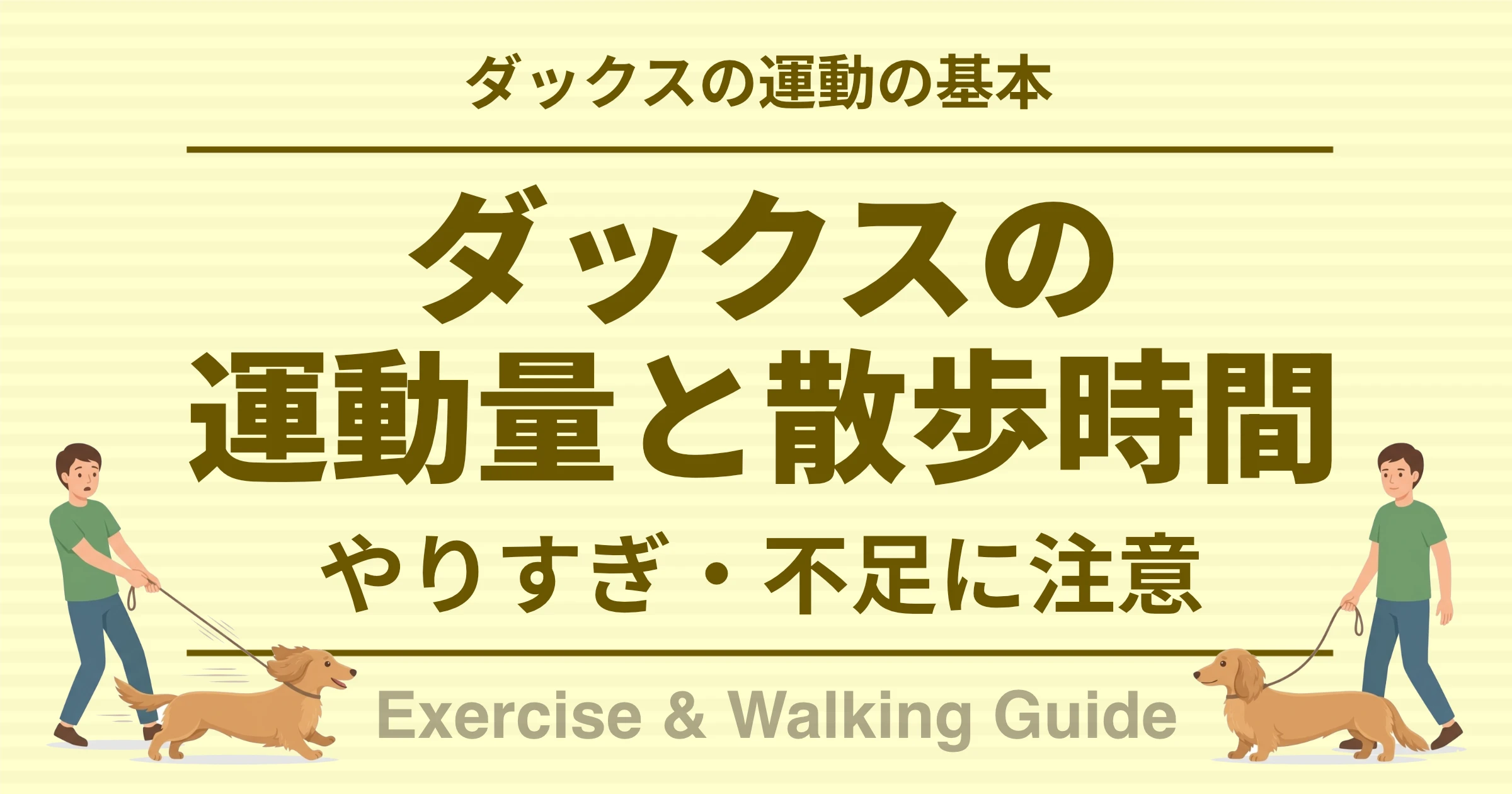 ダックスの運動の基本 ダックスの運動量と散歩時間