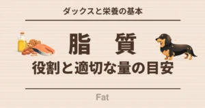 ダックスと栄養の基本 脂質の役割と適切な量の目安