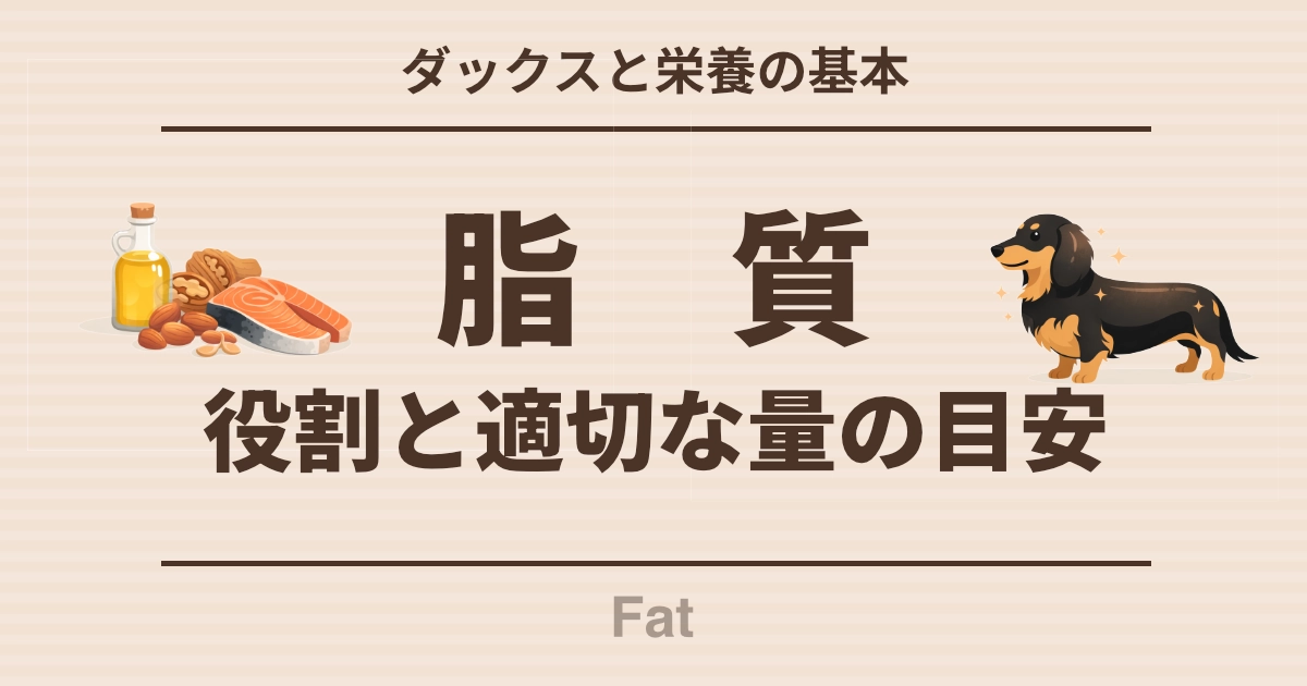 ダックスと栄養の基本 脂質の役割と適切な量の目安