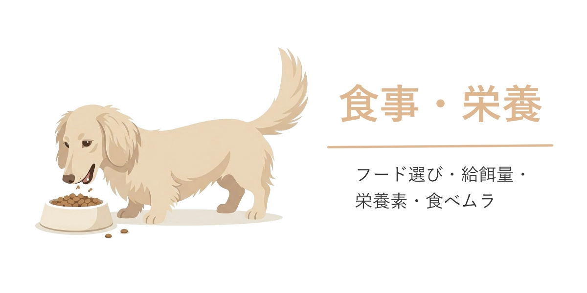 食事・栄養
フード選び・給餌量・栄養素・食べむら