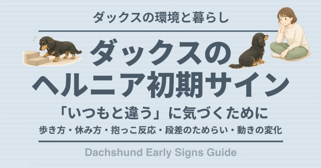 ダックスのヘルニア初期サイン