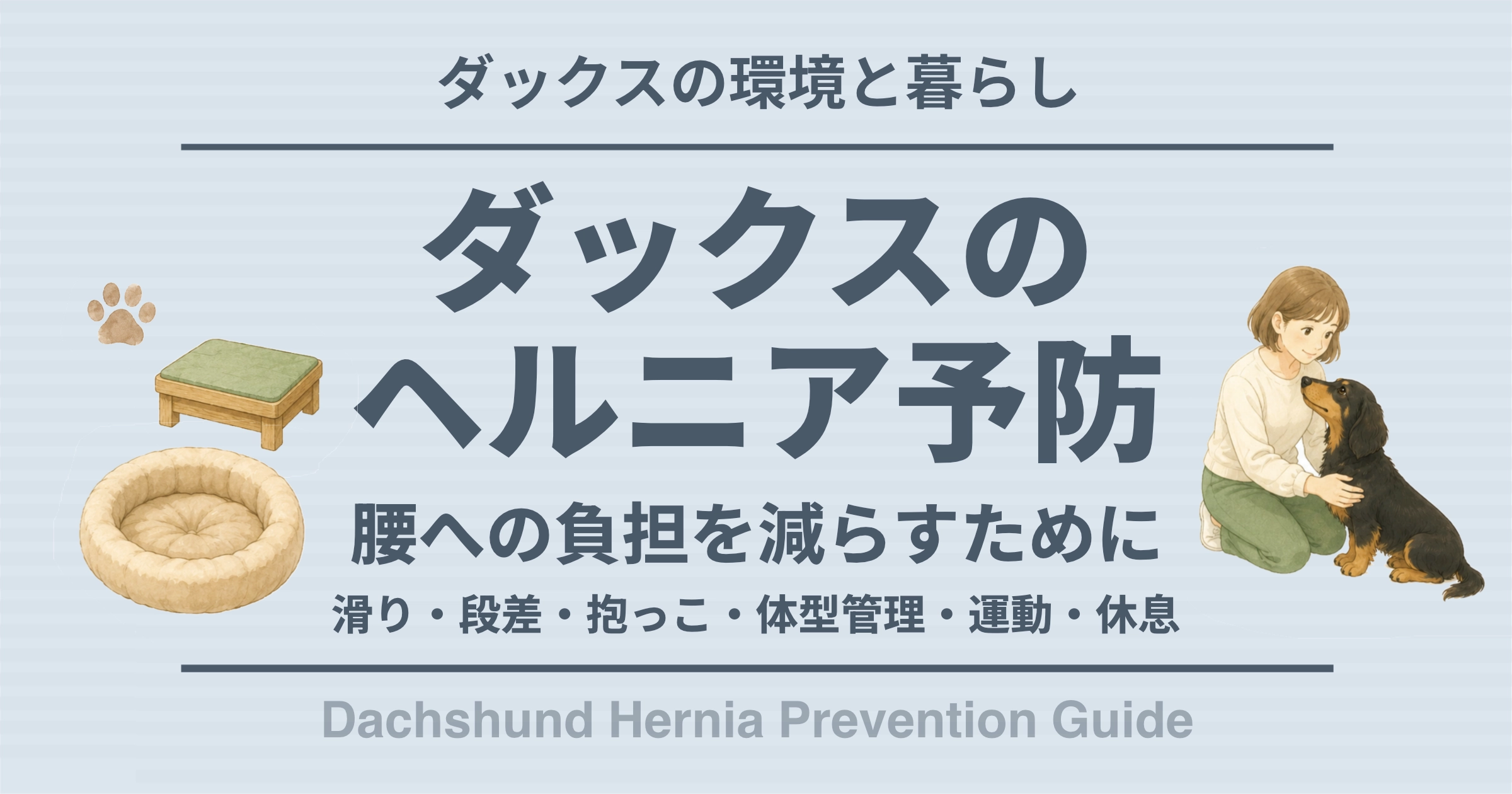 ダックスのヘルニア予防