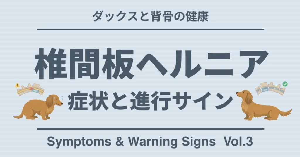 ダックスと背骨の健康 椎間板ヘルニア 症状と進行サイン