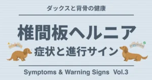 ダックスと背骨の健康 椎間板ヘルニア 症状と進行サイン
