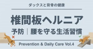 ダックスと背骨の健康 椎間板ヘルニア 予防、腰を守る生活習慣