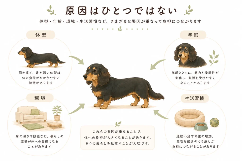 原因はひとつではなく複数の要素が重なるイメージ