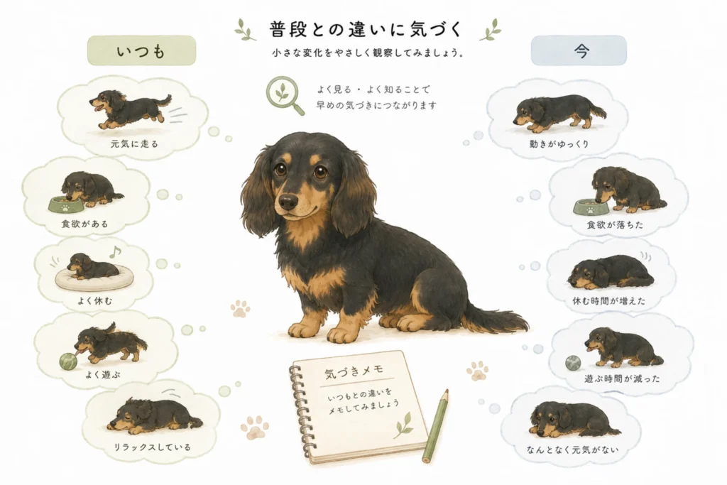 普段との違いを観察するイメージ
