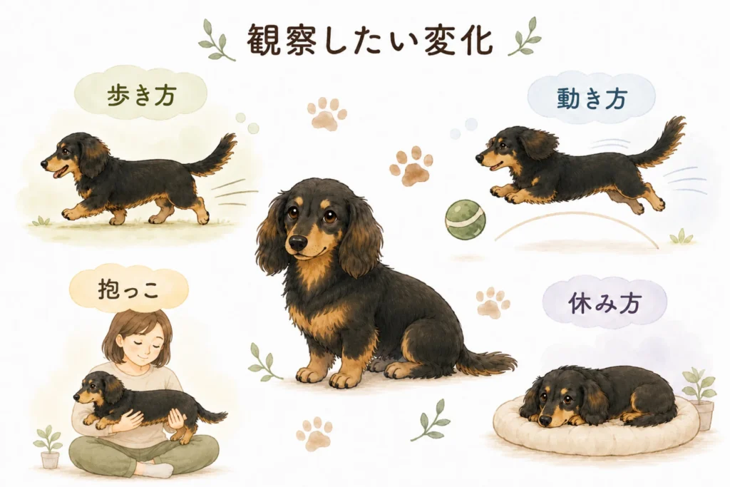 観察したい変化の例