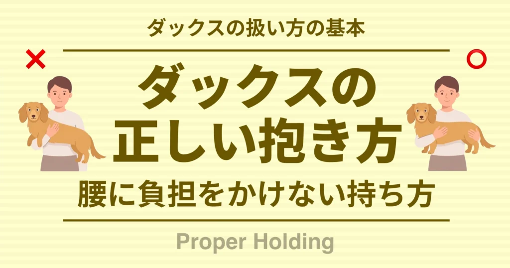 ダックスの扱い方の基本 ダックスの正しい抱き方 腰に負担をかけない持ち方