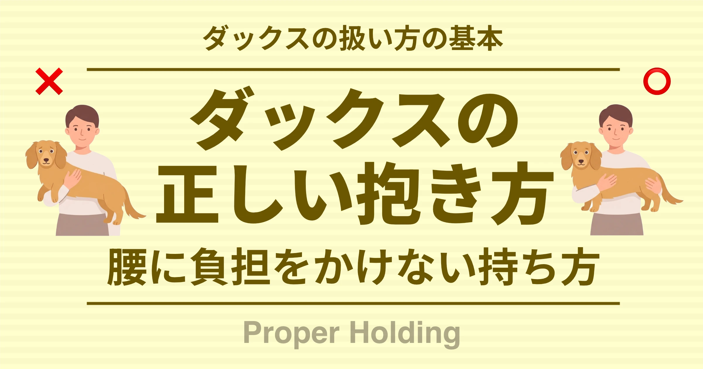 ダックスの扱い方の基本 ダックスの正しい抱き方 腰に負担をかけない持ち方