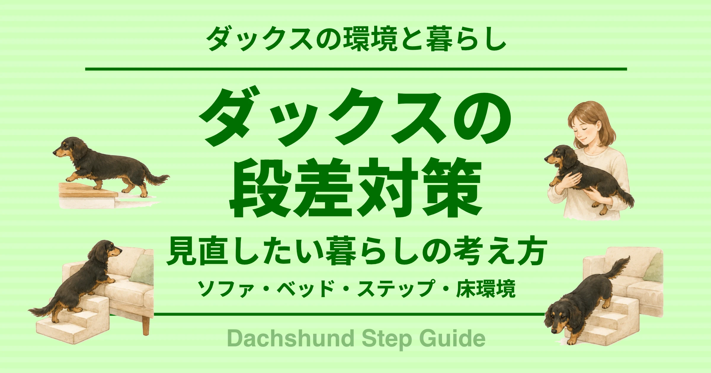 ダックスの段差対策
