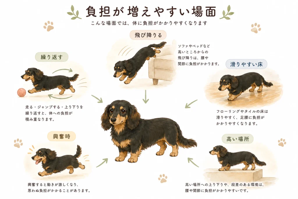 ダックスフンドの段差で負担が増えやすい場面