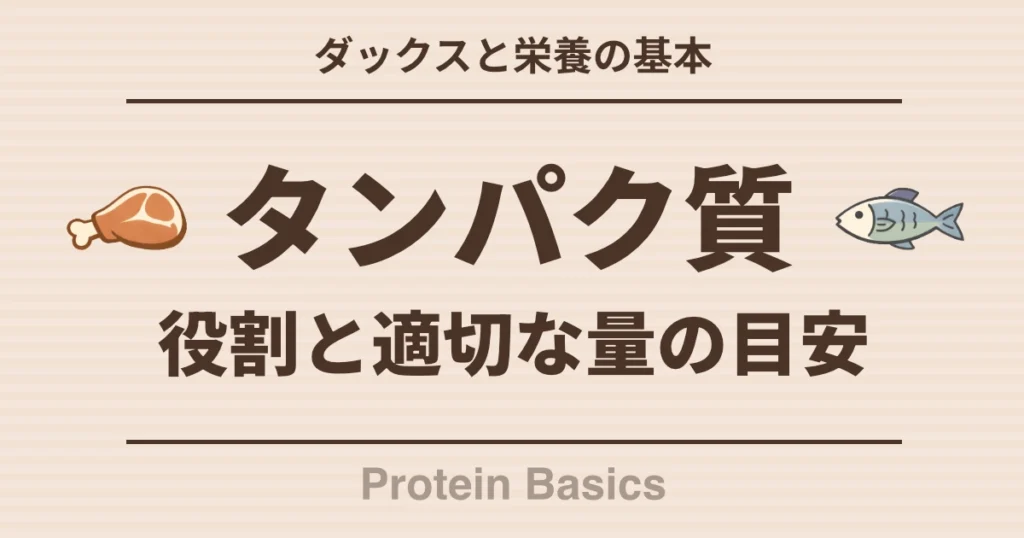 ダックスと栄養の基本 プロテインの役割と適切な量の目安