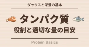 ダックスと栄養の基本 プロテインの役割と適切な量の目安