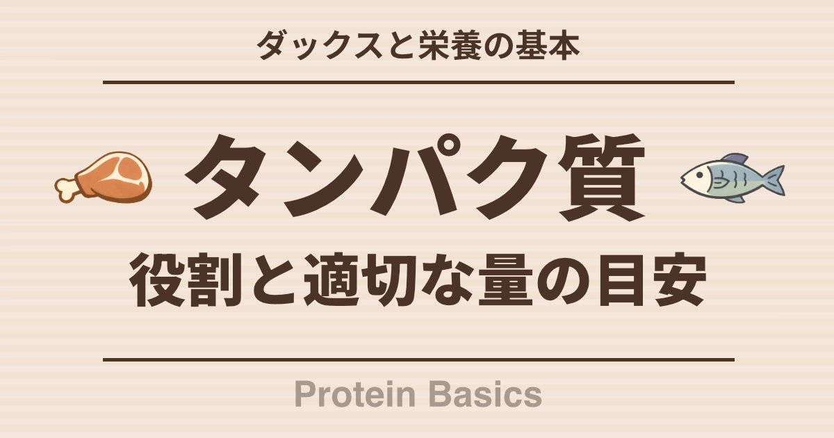 ダックスと栄養の基本 プロテインの役割と適切な量の目安