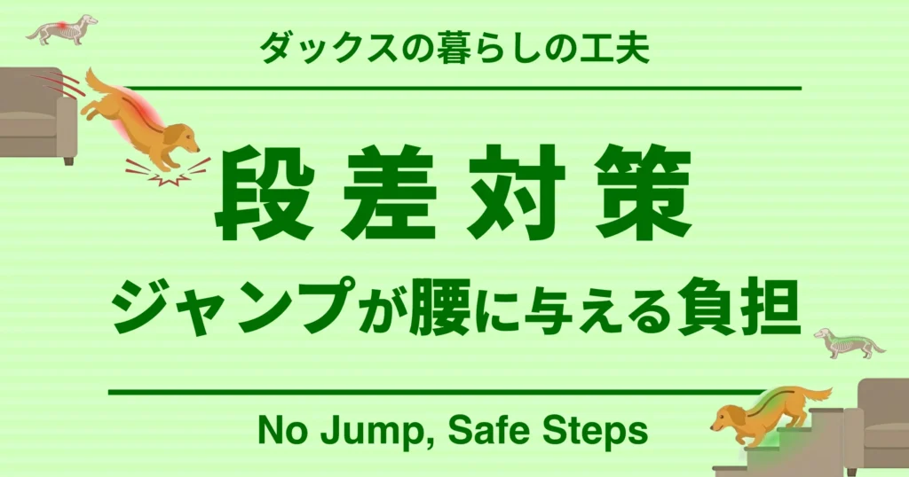 ダックスの暮らしの工夫 段差対策 ジャンプが腰に与える負担