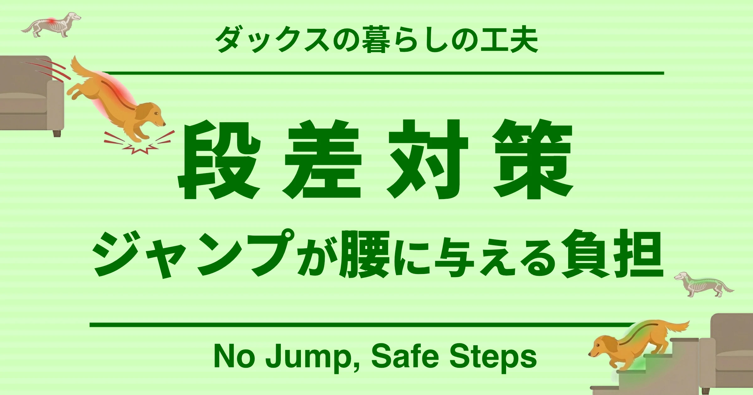 ダックスの暮らしの工夫 段差対策 ジャンプが腰に与える負担