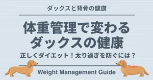 ダックスと背骨の健康 体重管理で変わるダックスの健康 正しくダイエット！太り過ぎを防ぐには？