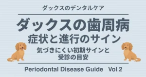 ダックスの歯周病 症状と進行のサイン