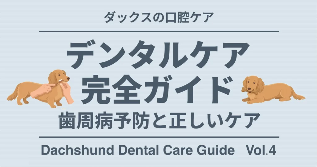 デンタルケア完全ガイド 歯周病予防と正しいケア