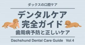 デンタルケア完全ガイド 歯周病予防と正しいケア