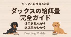 ダックスの食事と栄養 ダックスの給餌量完全ガイド