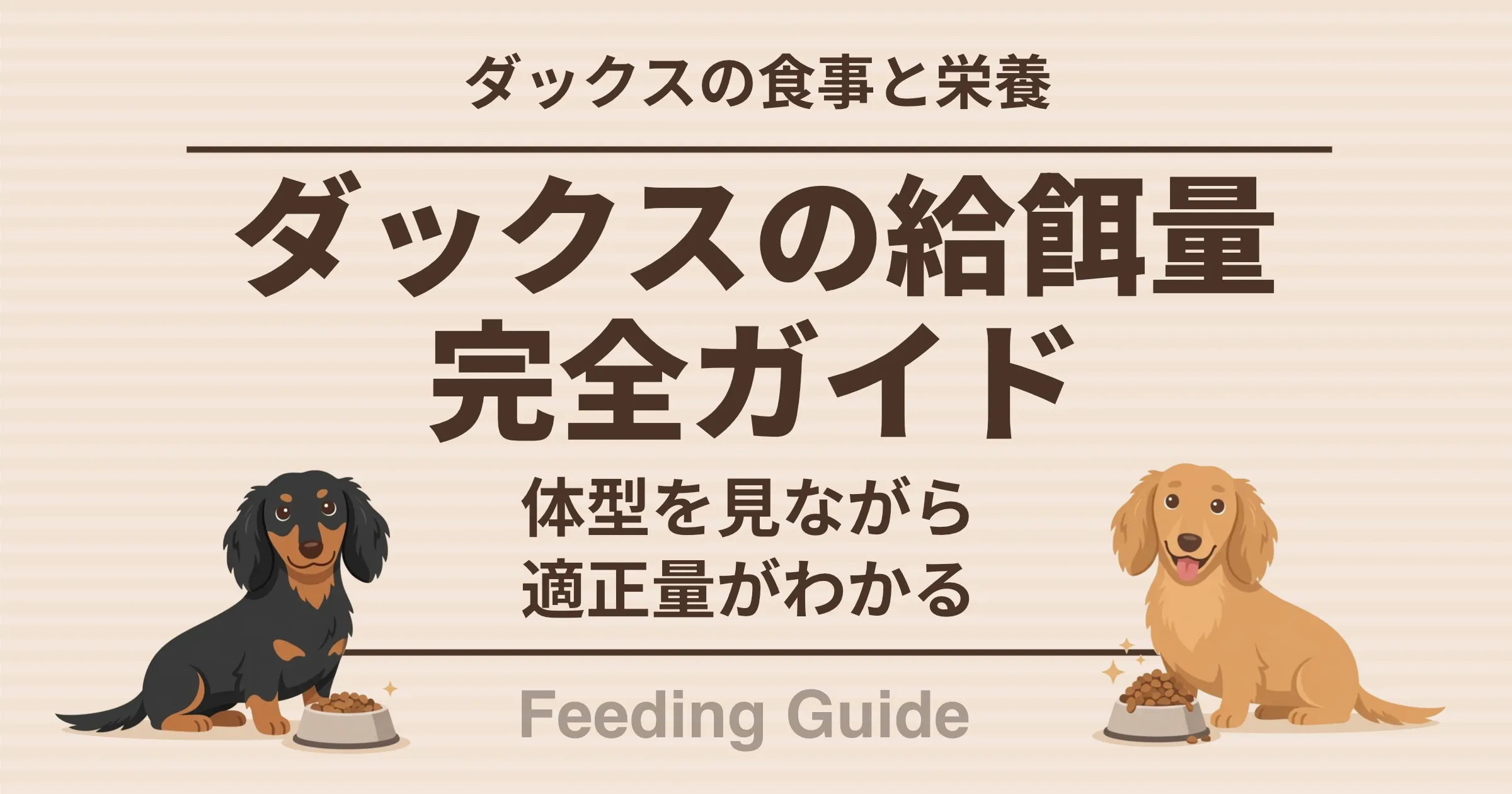 ダックスの食事と栄養 ダックスの給餌量完全ガイド