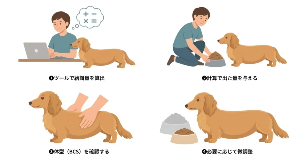 ①ツールで給餌量を算出
②その量で与える
③体型（BCS）を確認
④必要に応じて微調整