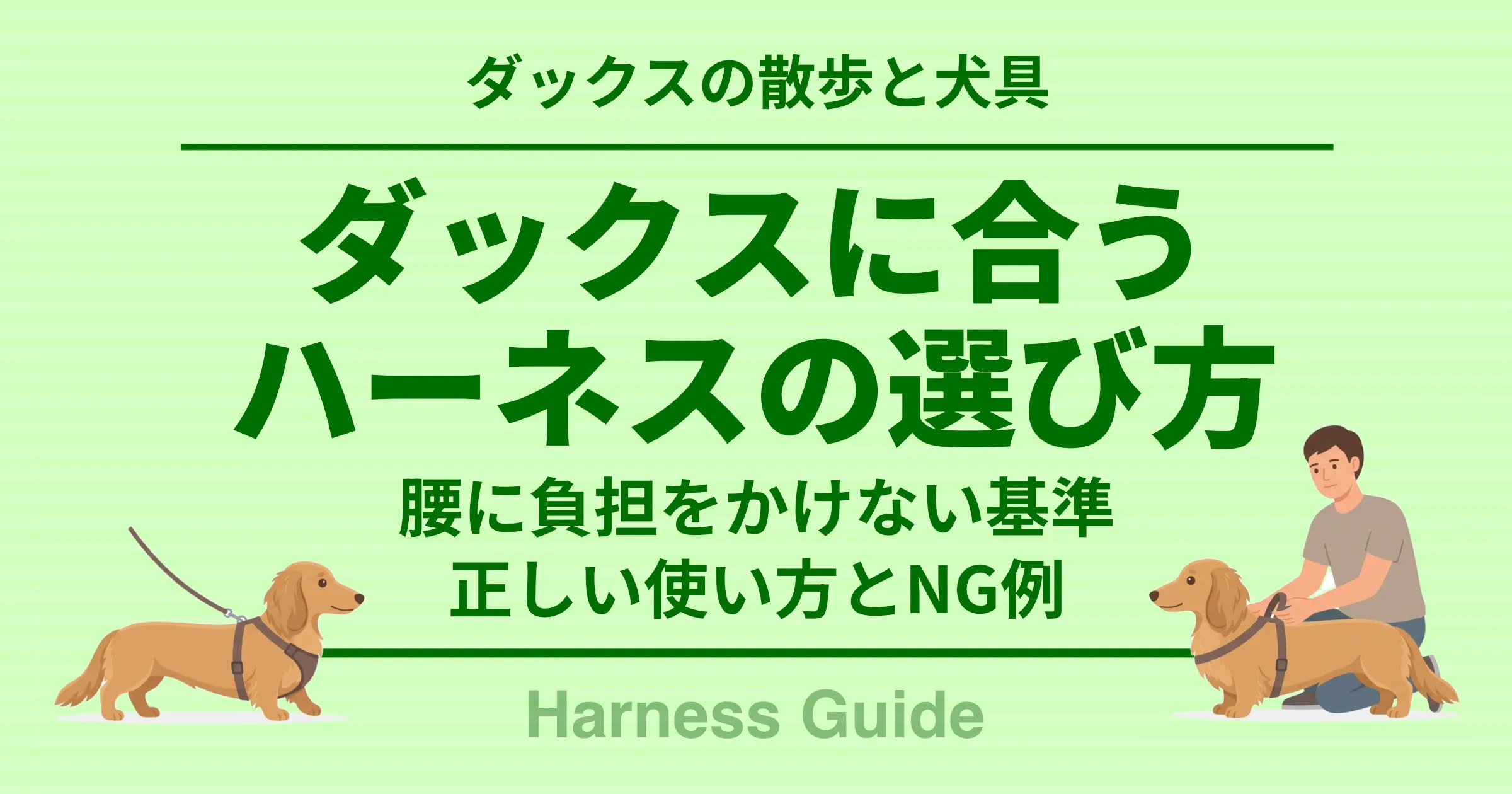 ダックスの散歩と犬具 ダックスに合うハーネスの選び方