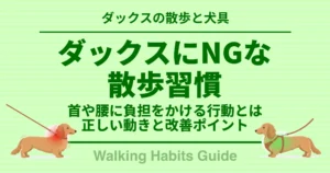ダックスにNGな 散歩習慣