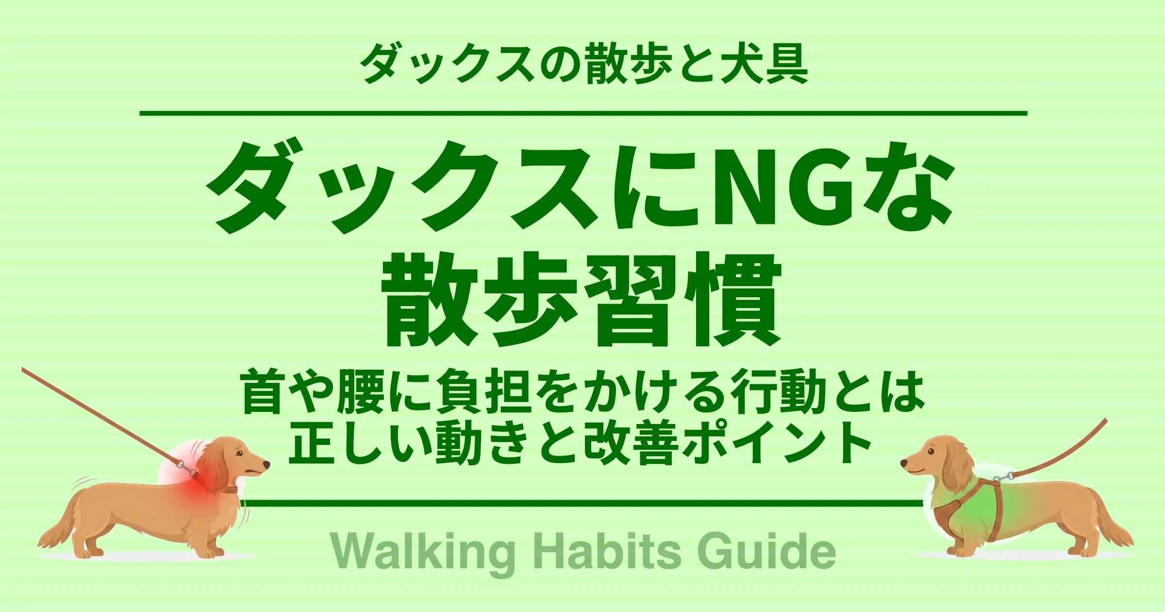 ダックスにNGな 散歩習慣