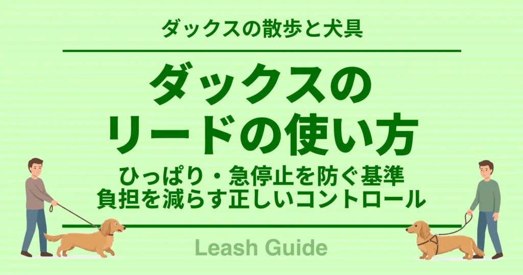ダックスのリードの使い方 ひっぱり・急停止を防ぐ基準 負担を減らす正しいコントロール