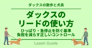 ダックスのリードの使い方 ひっぱり・急停止を防ぐ基準 負担を減らす正しいコントロール