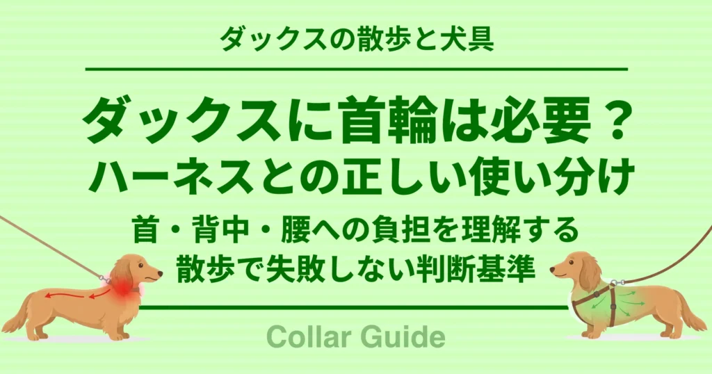 ダックスに首輪は必要？ ハーネスとの正しい使い別け