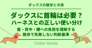 ダックスに首輪は必要？ ハーネスとの正しい使い別け
