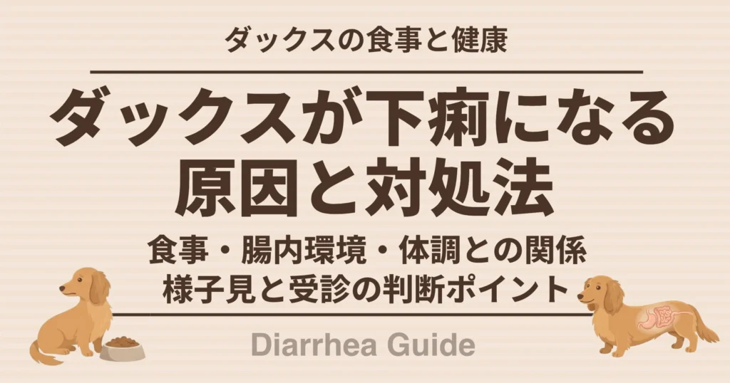 ダックスが下痢になる原因と方法