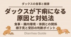 ダックスが下痢になる原因と方法