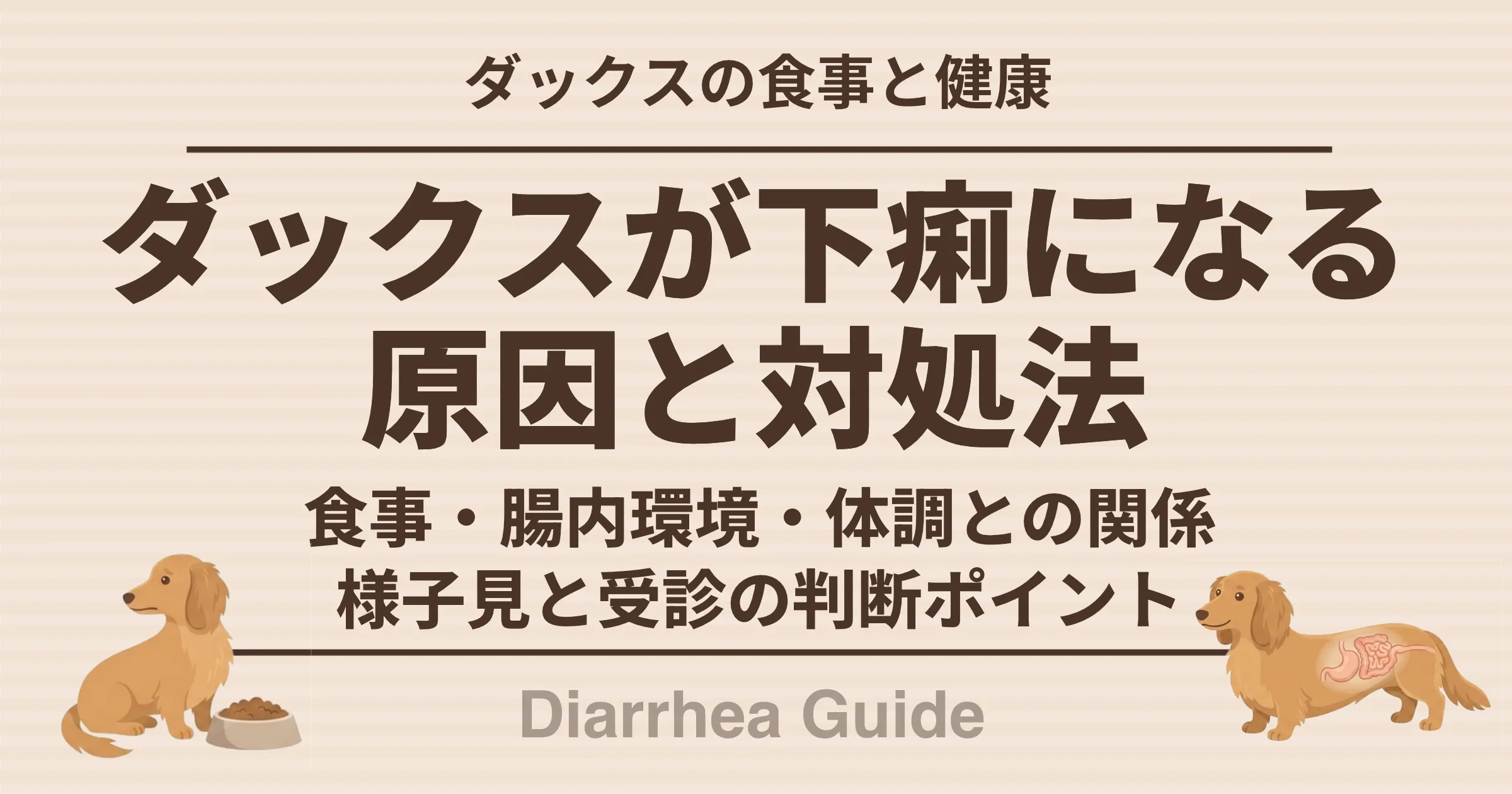 ダックスが下痢になる原因と方法