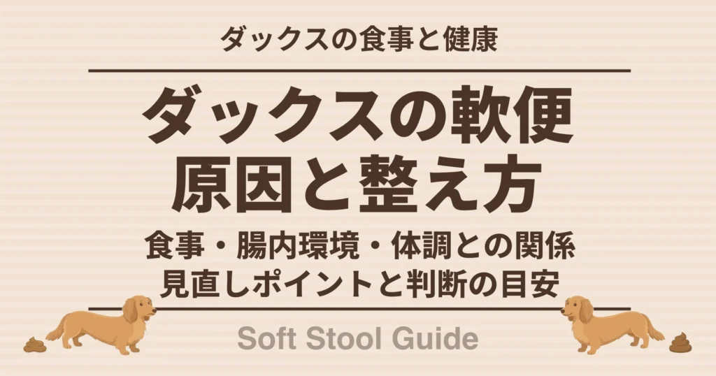 ダックスの軟便原因と整え方