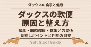 ダックスの軟便原因と整え方