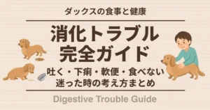 消化トラブル完全ガイド