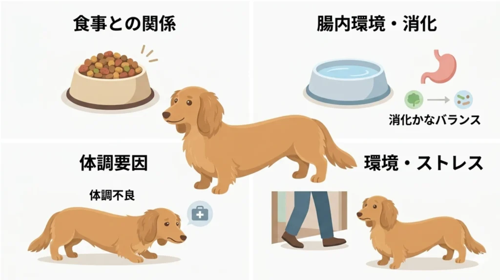 食事・腸内環境・体調・ストレス図