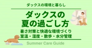 ダックスの夏の過ごし方